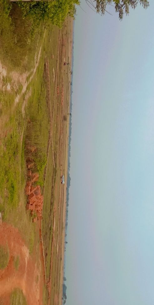 Build reach real corn part of plot 3