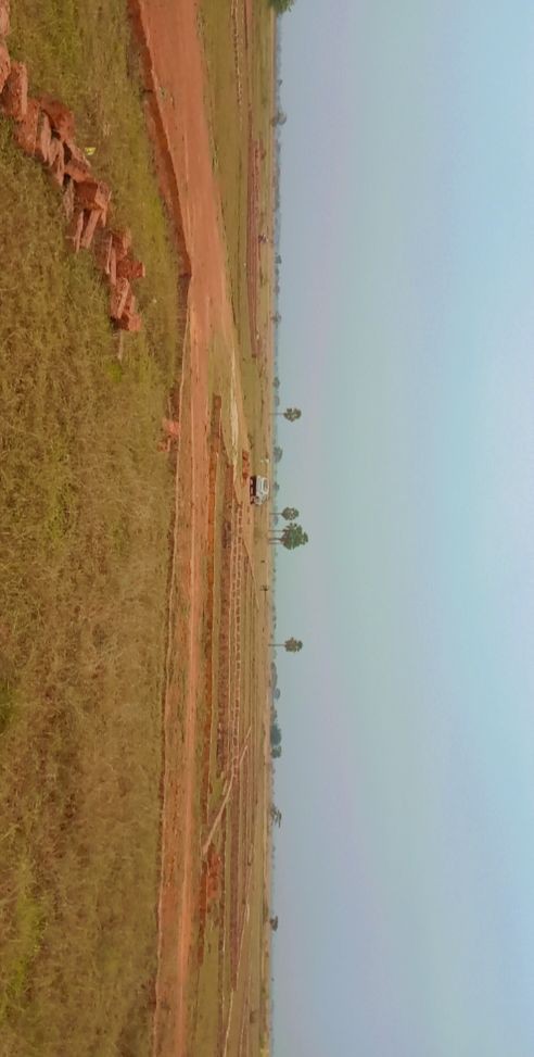 Build reach real corn part of plot 2