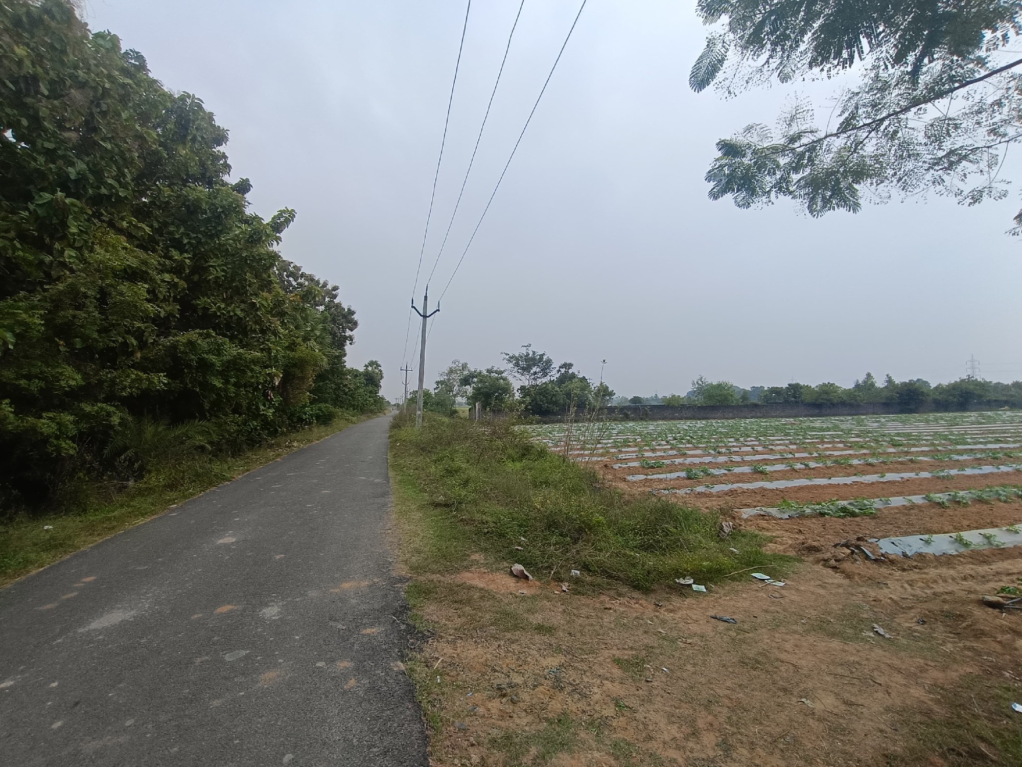 Agricultural land for sale 2