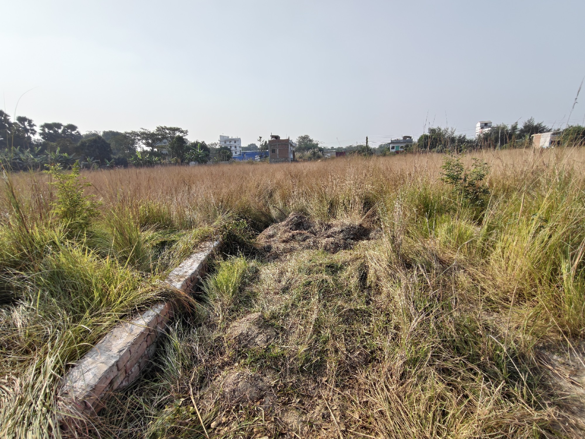 patahi plot for sale 2