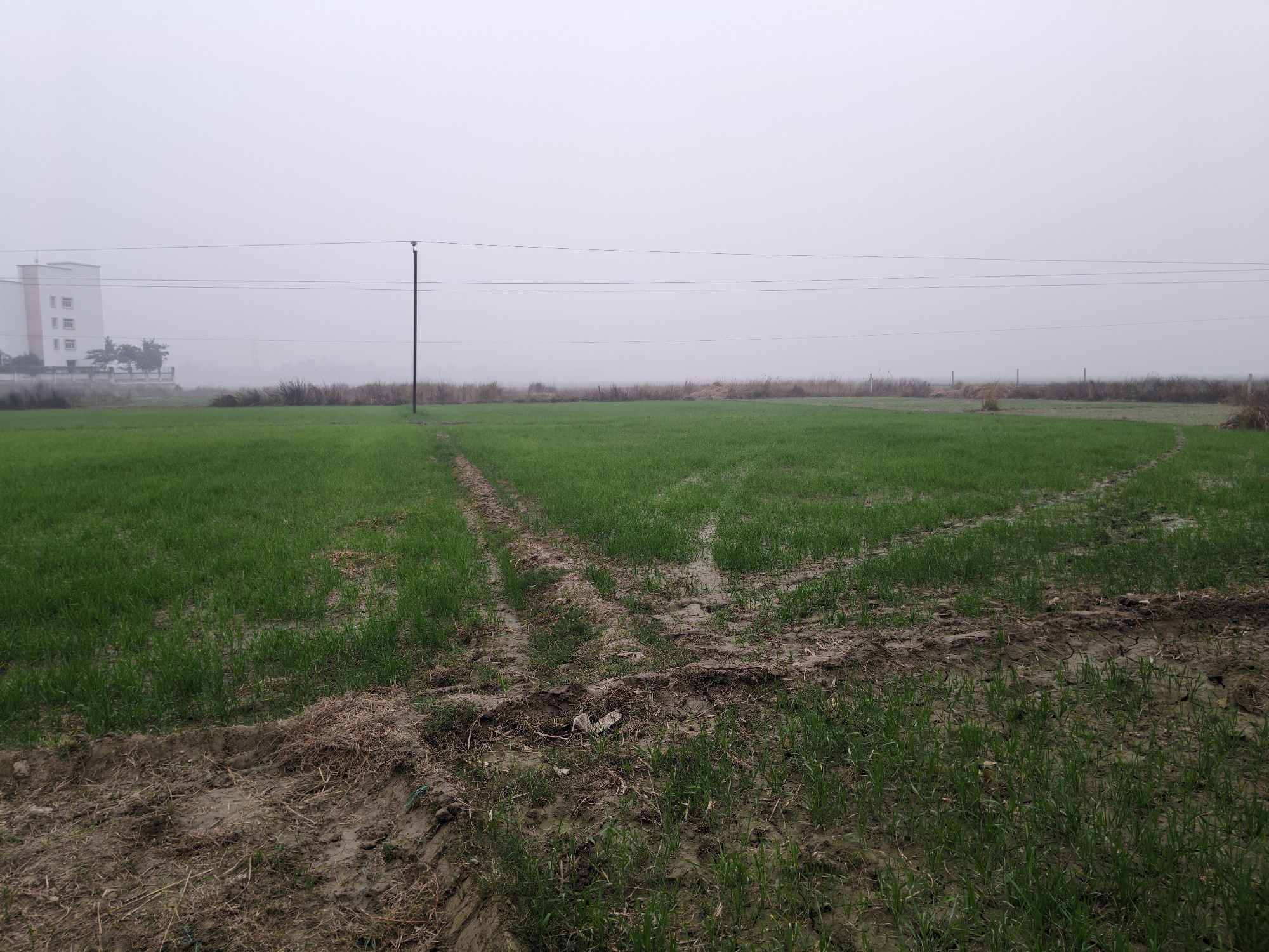 Turki Muzaffarpur plot for sale