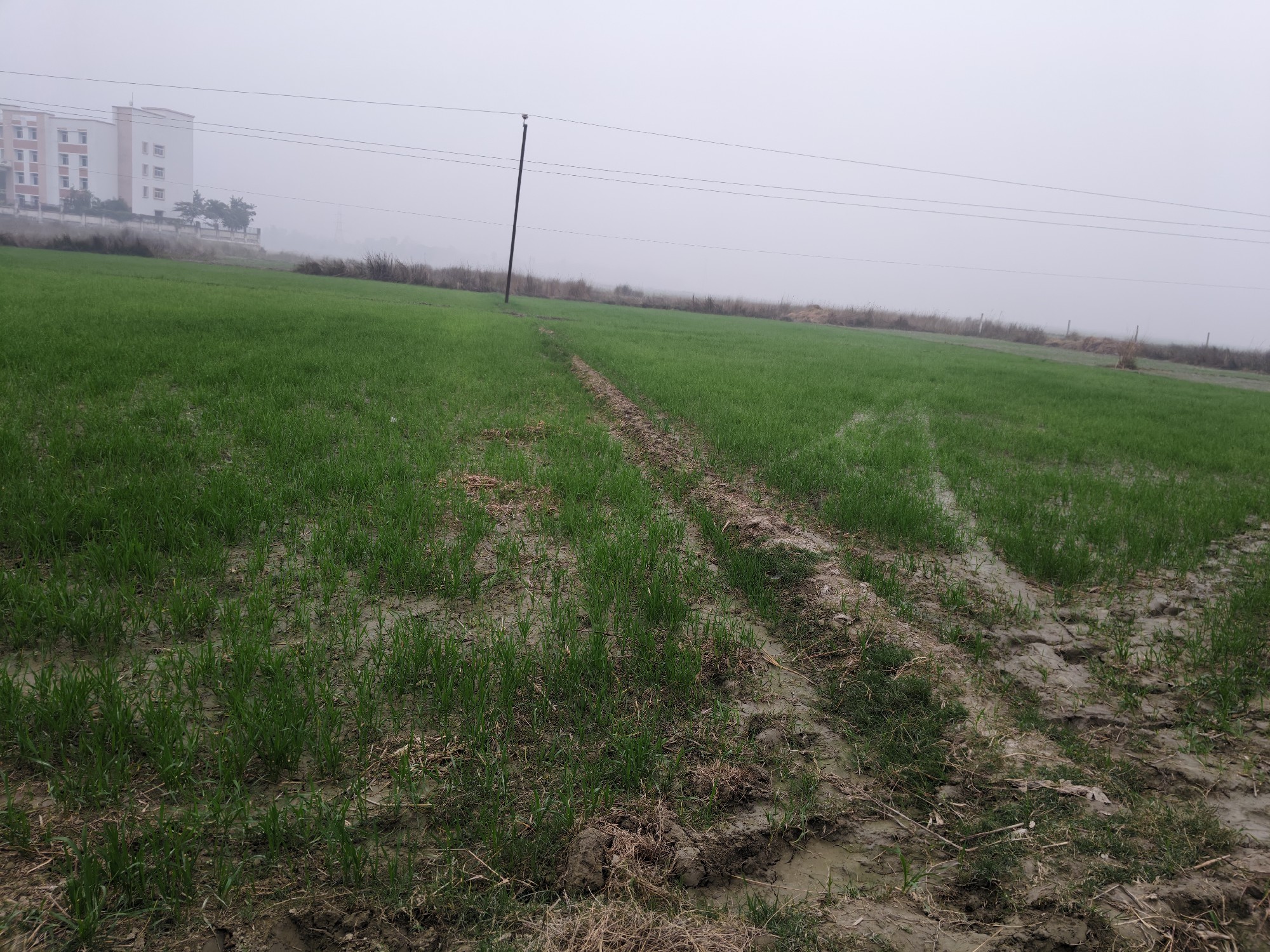 Turki Muzaffarpur plot for sale 3