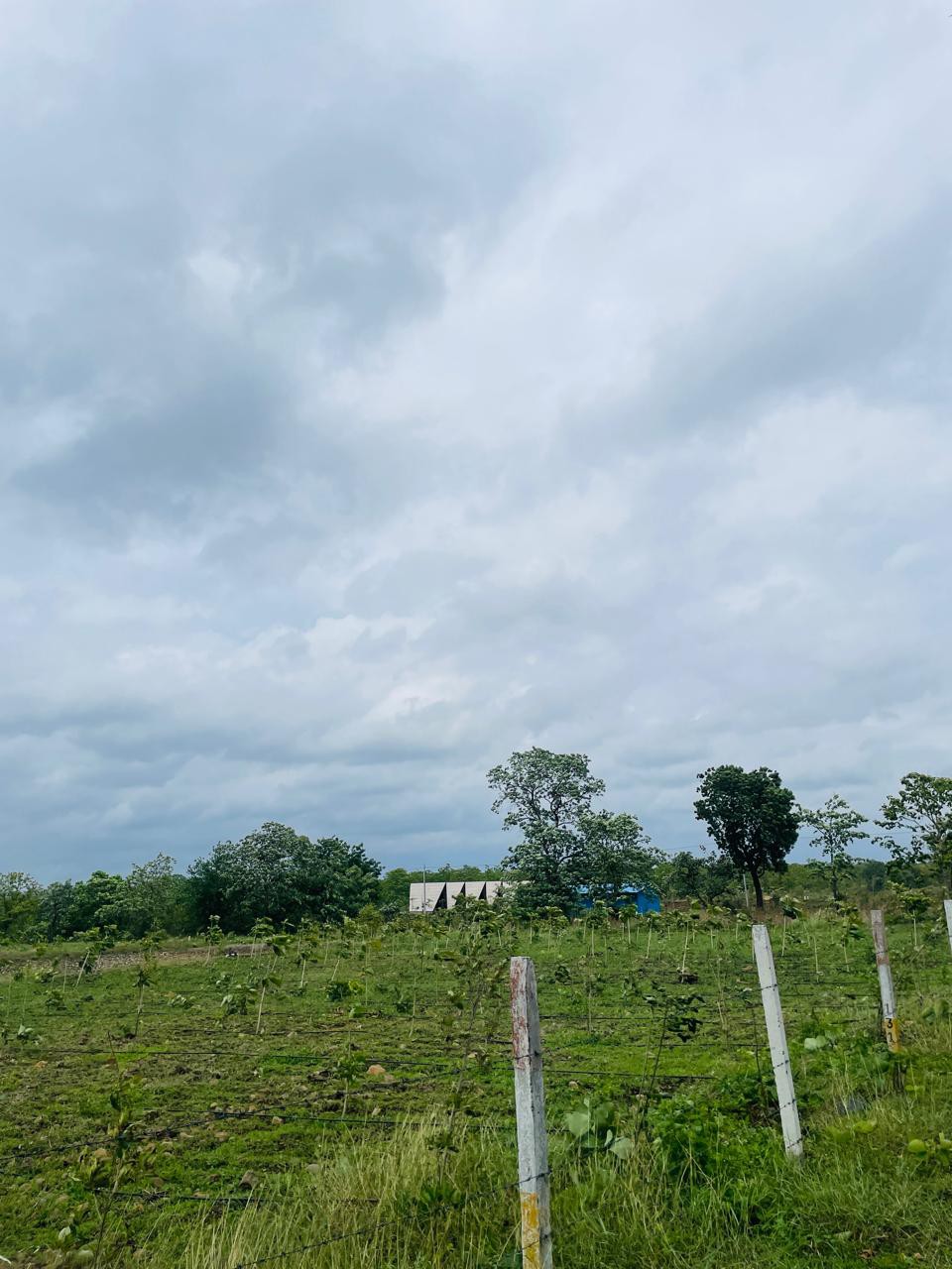 Farmland Farmhouse 2