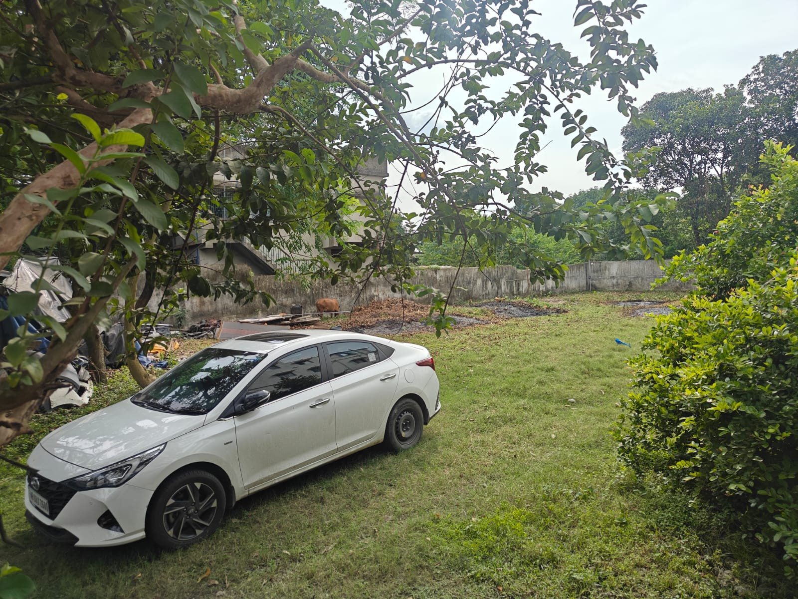 commercial land on rent 2