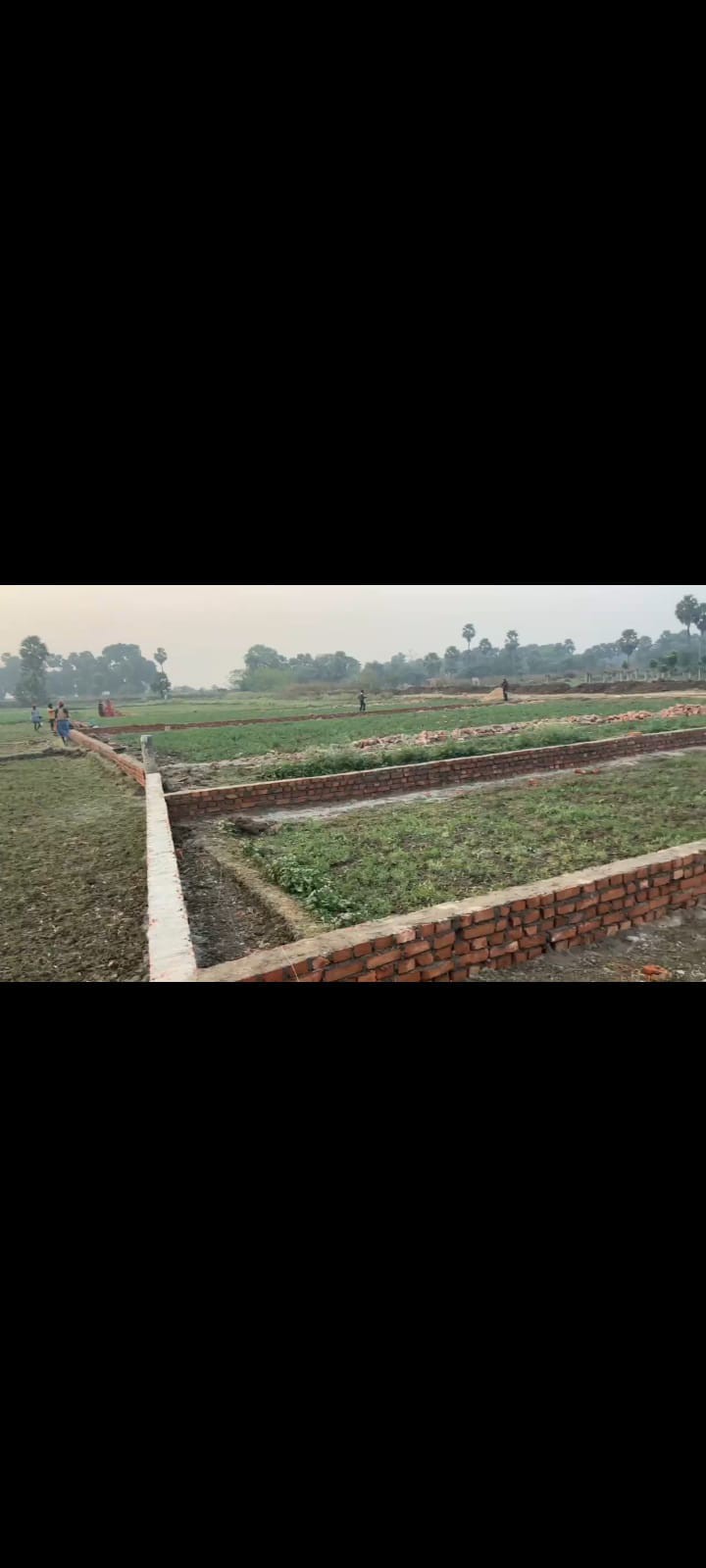 Patligram Phase lll society