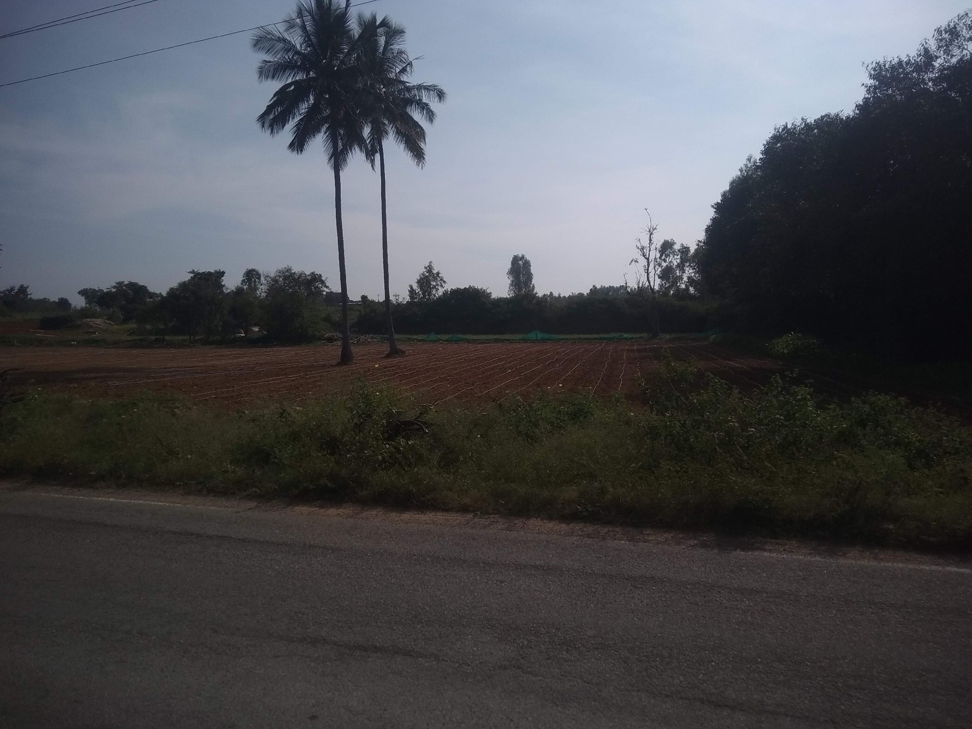 agricultural land 3