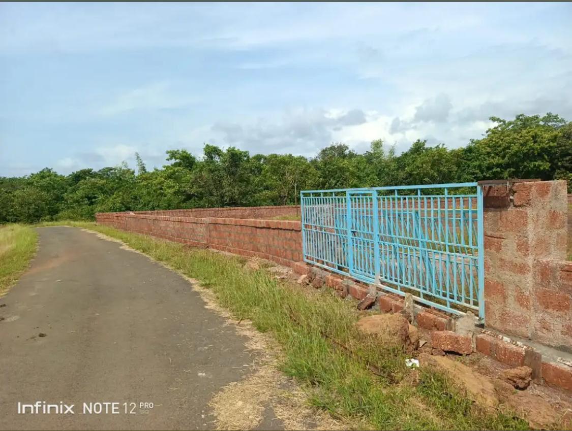 WhatsApp Image 2026-01-20 at 11.11.36 AM