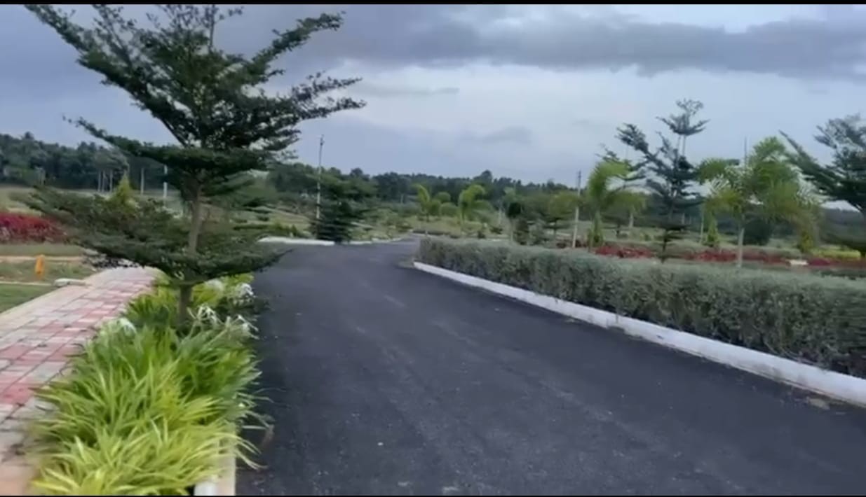 scaled_IMG-20260128-WA0026