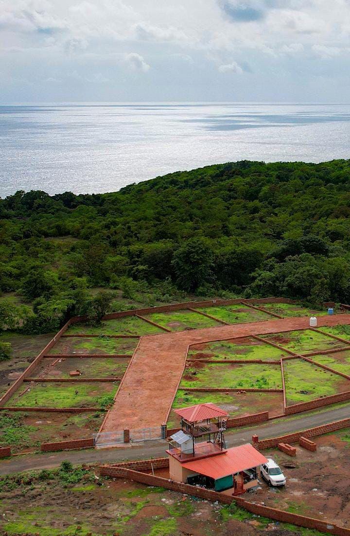 Near Kolthare Beach, Dapoli, Tal Ratnagiri 2
