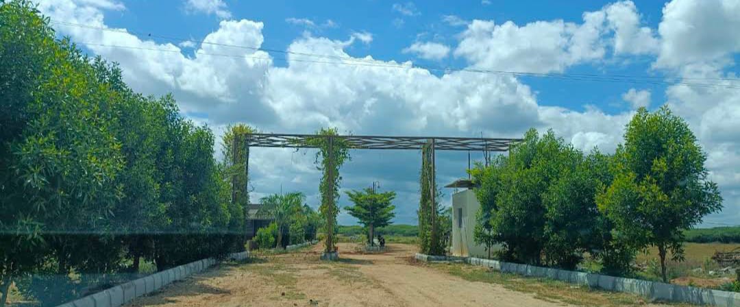 KNS Swabumi Sandal Mistry 2