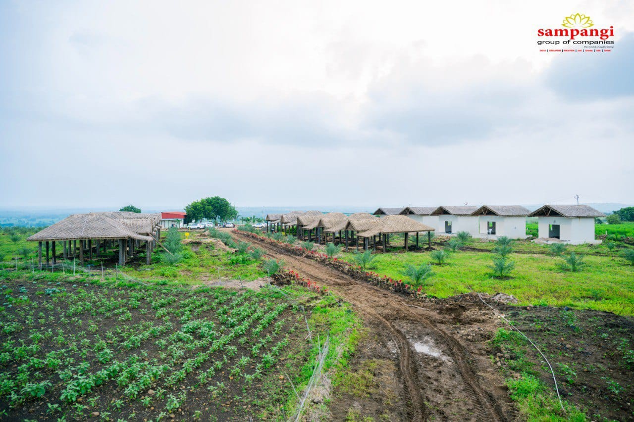 Low budget income based farmlands 3