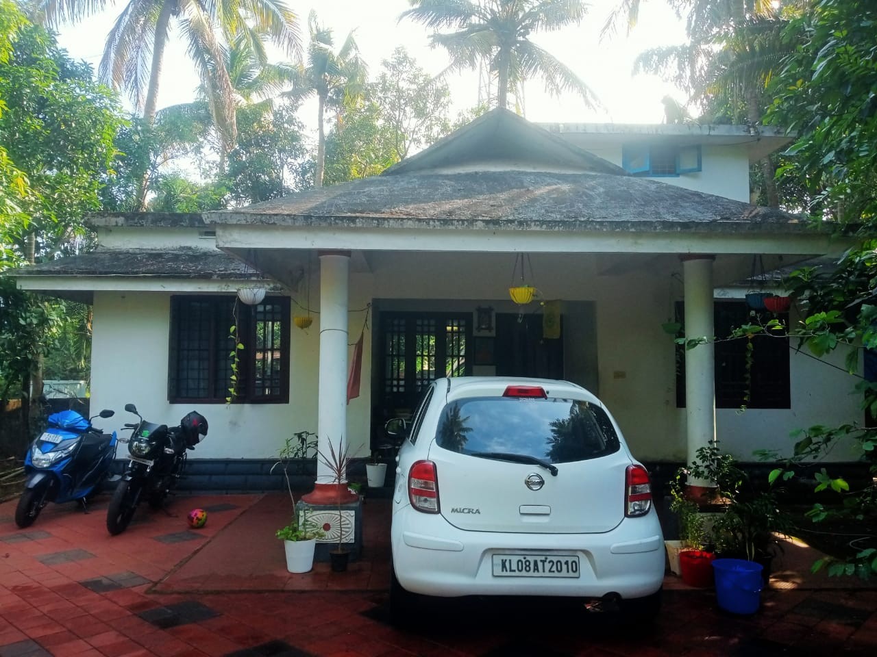 scaled_IMG-20260219-WA0021