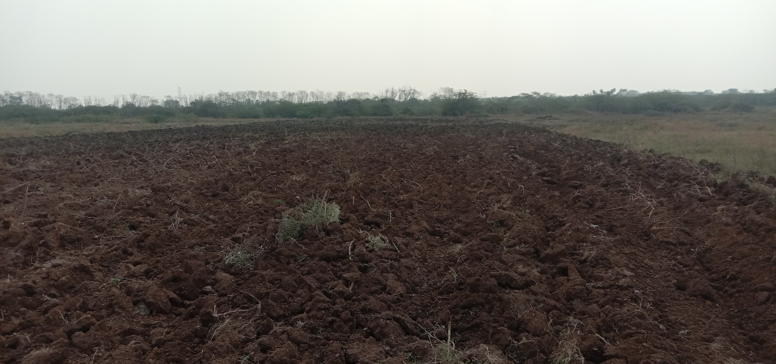 scaled_IMG_20260209_133136