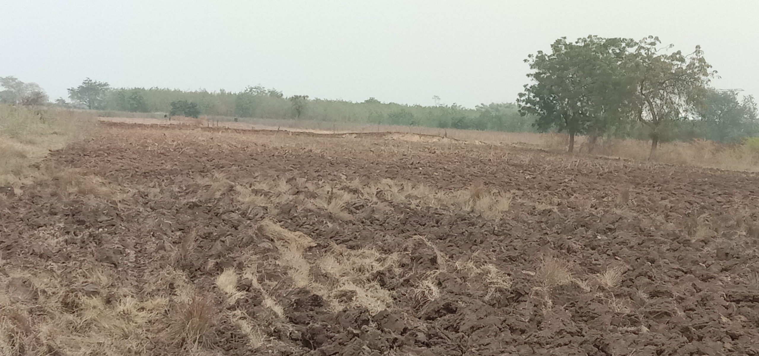 scaled_IMG_20260209_133616