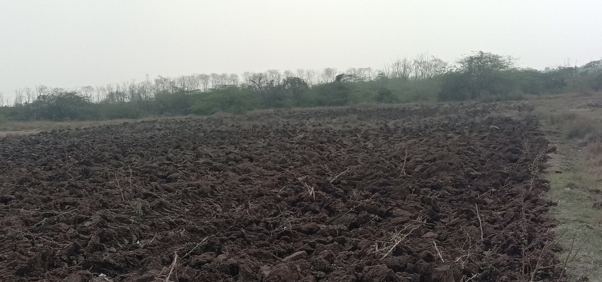 scaled_IMG_20260209_132740