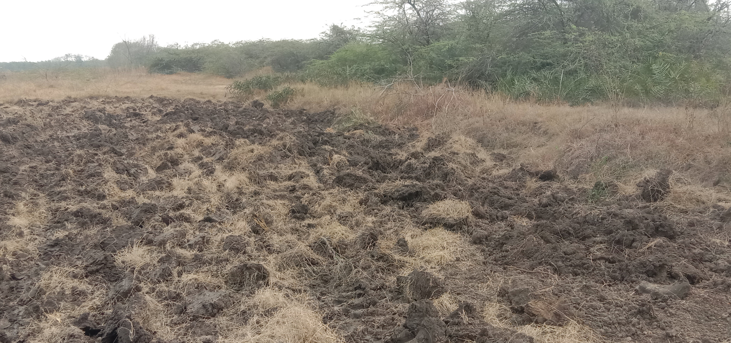 scaled_IMG_20260209_133456