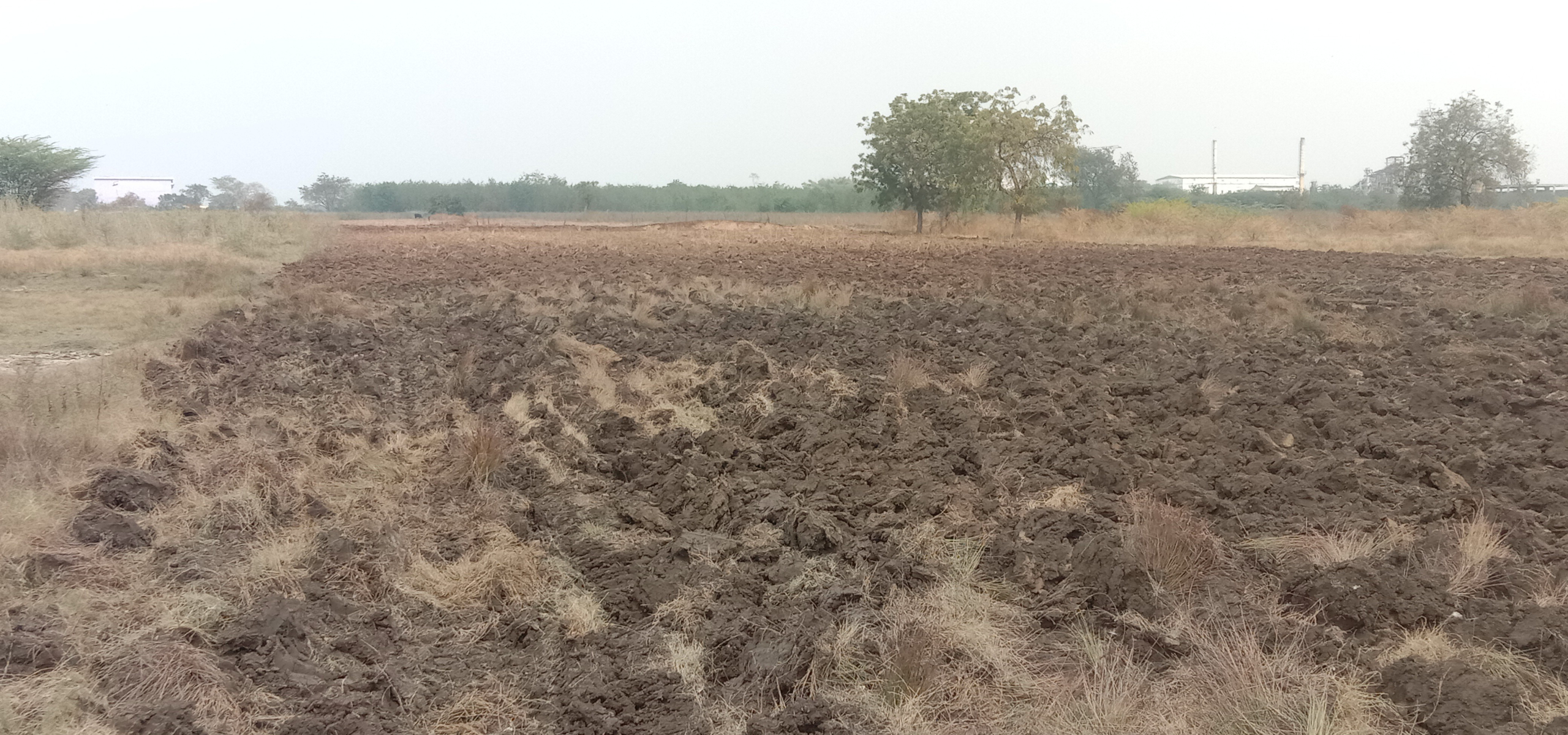 scaled_IMG_20260209_133507