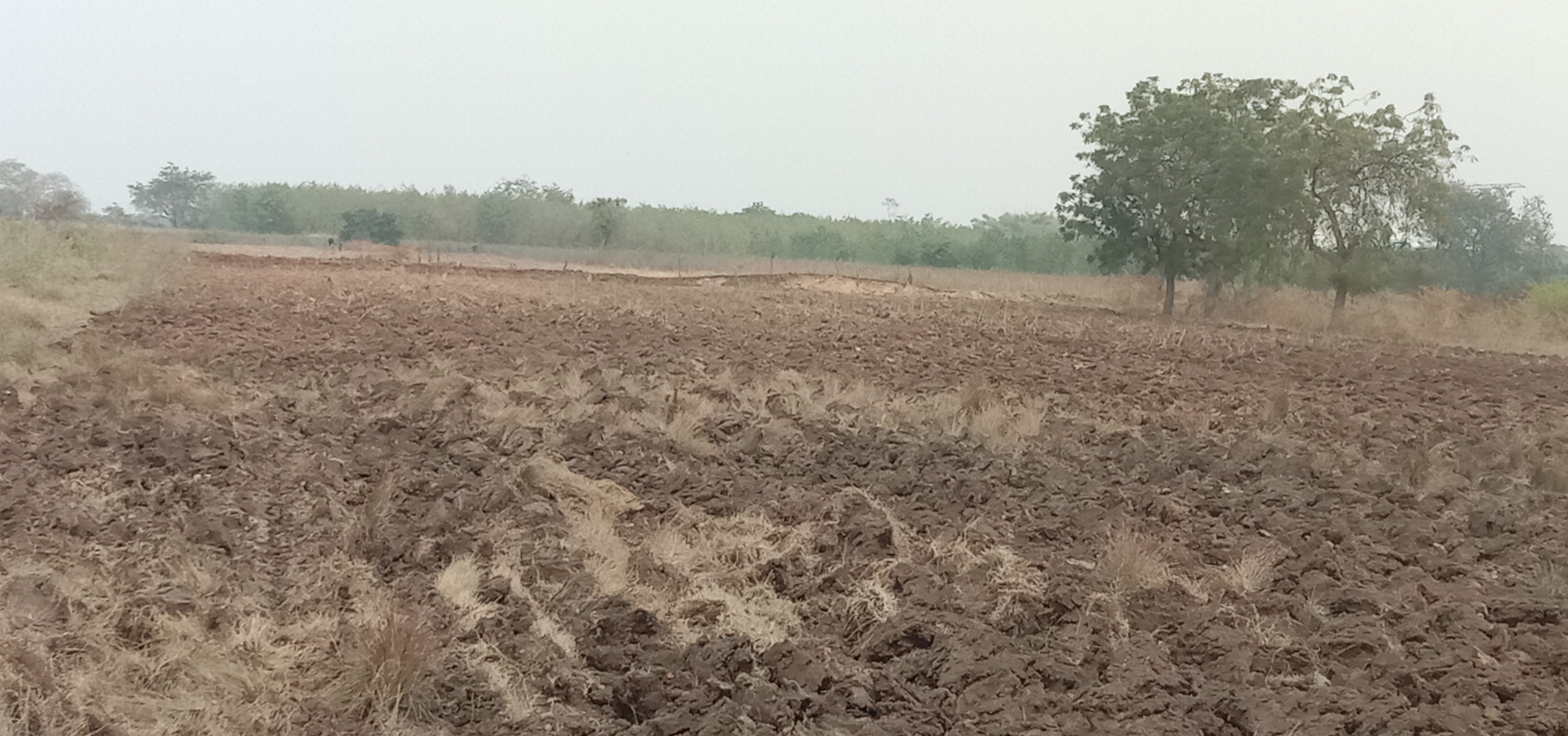 scaled_IMG_20260209_133611