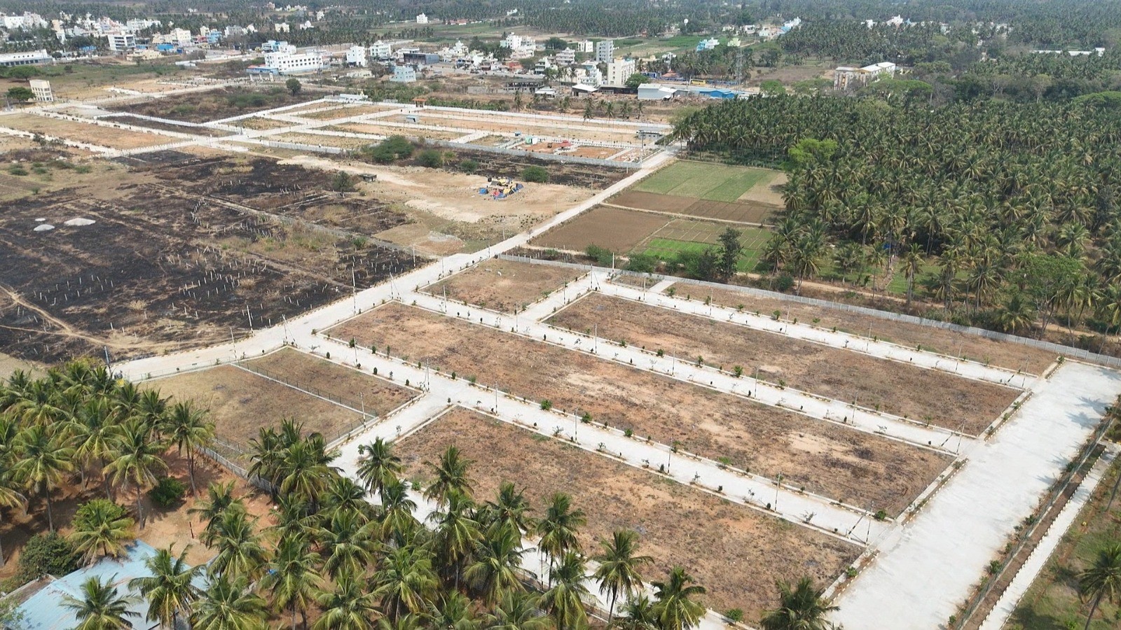 scaled_IMG-20260226-WA0011