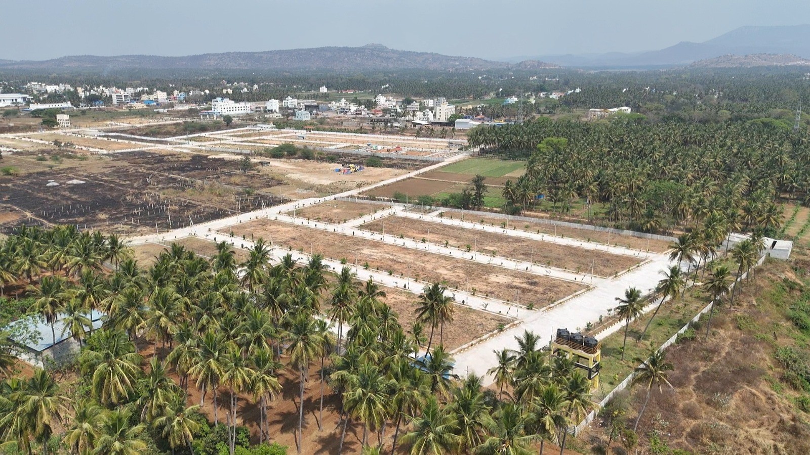 scaled_IMG-20260226-WA0015