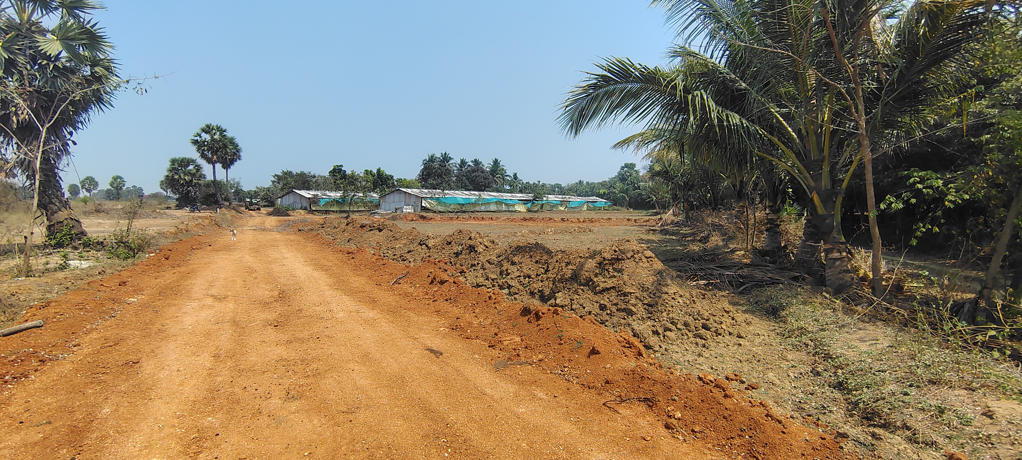 2.95 Acres Agricultural Land Near SIPCOT – High Growth Investment Opportunity 2