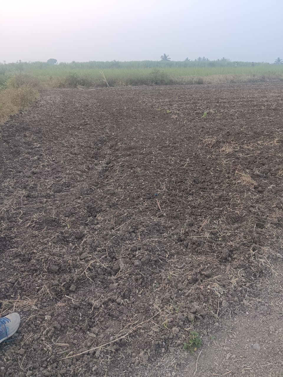 Agricultural Land 1.5 Acre (Bagayati) 2
