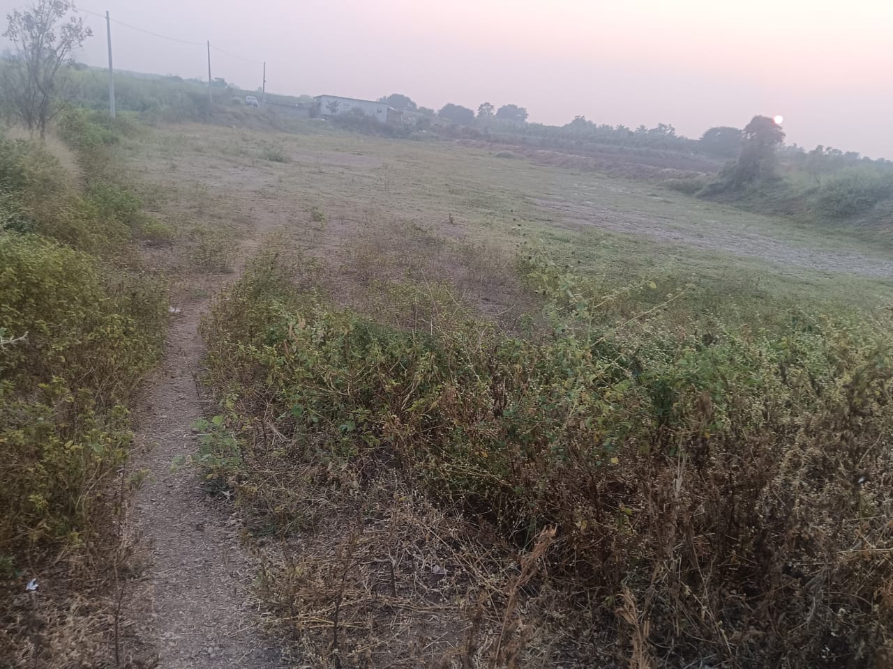 Agricultural Land 1.5 Acre (Bagayati) 3