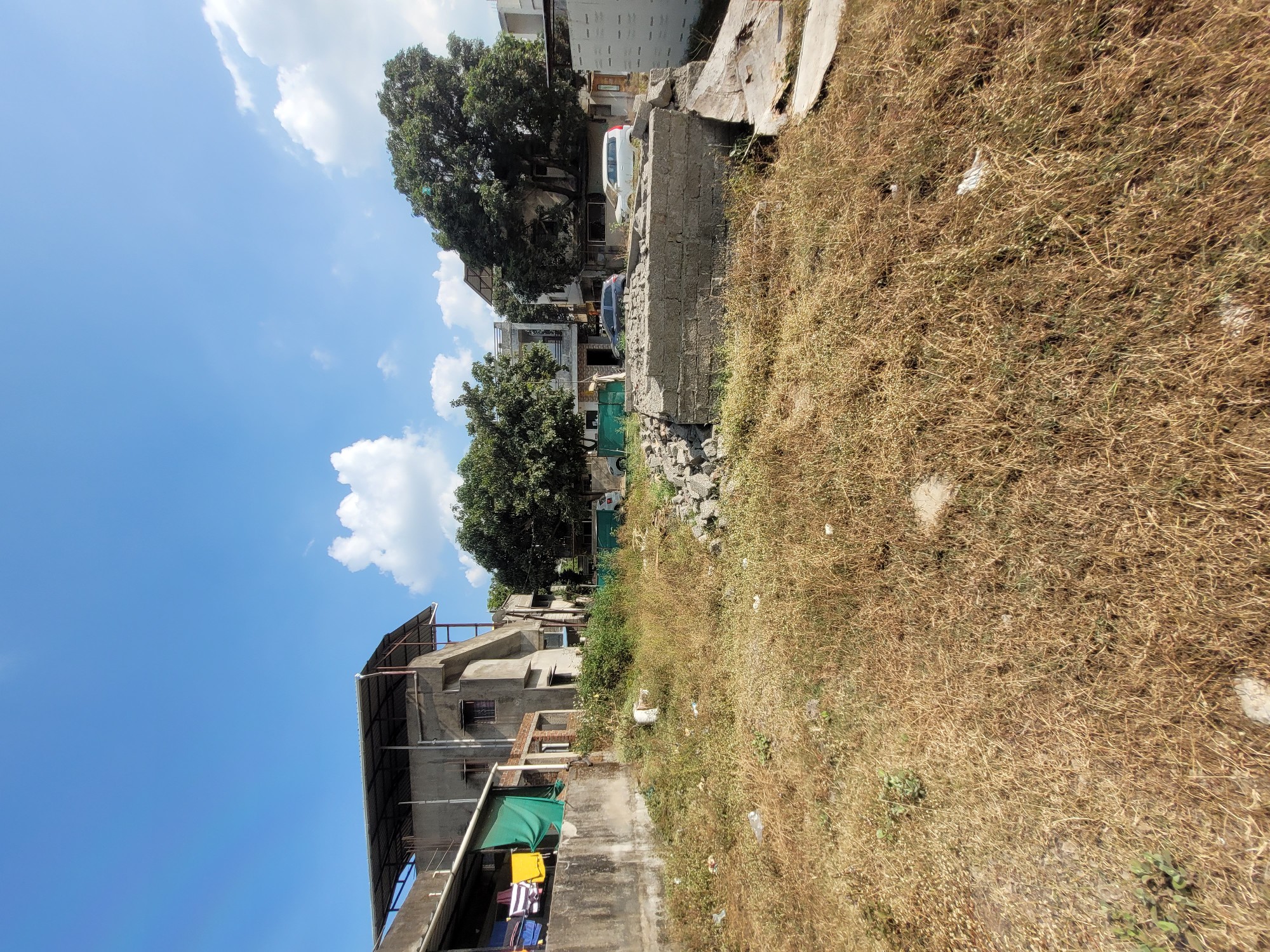 Collector N.A. Finall layout 2