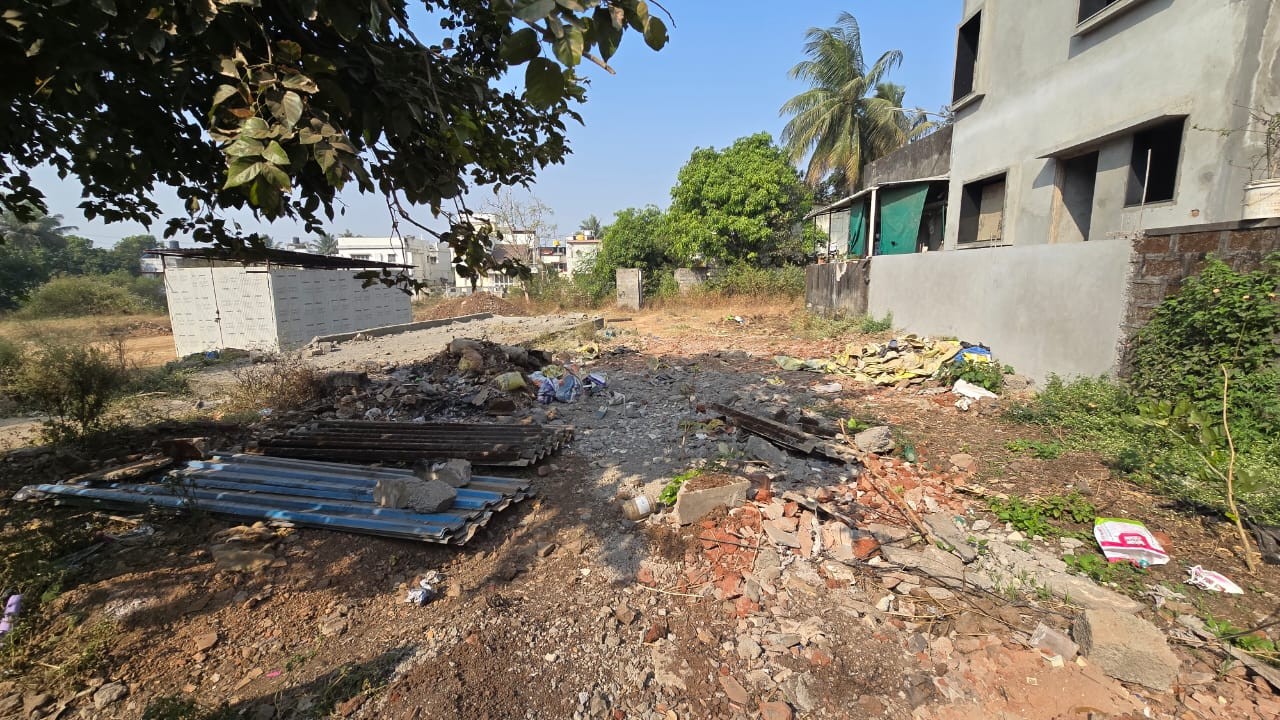 Collector N.A. Finall layout