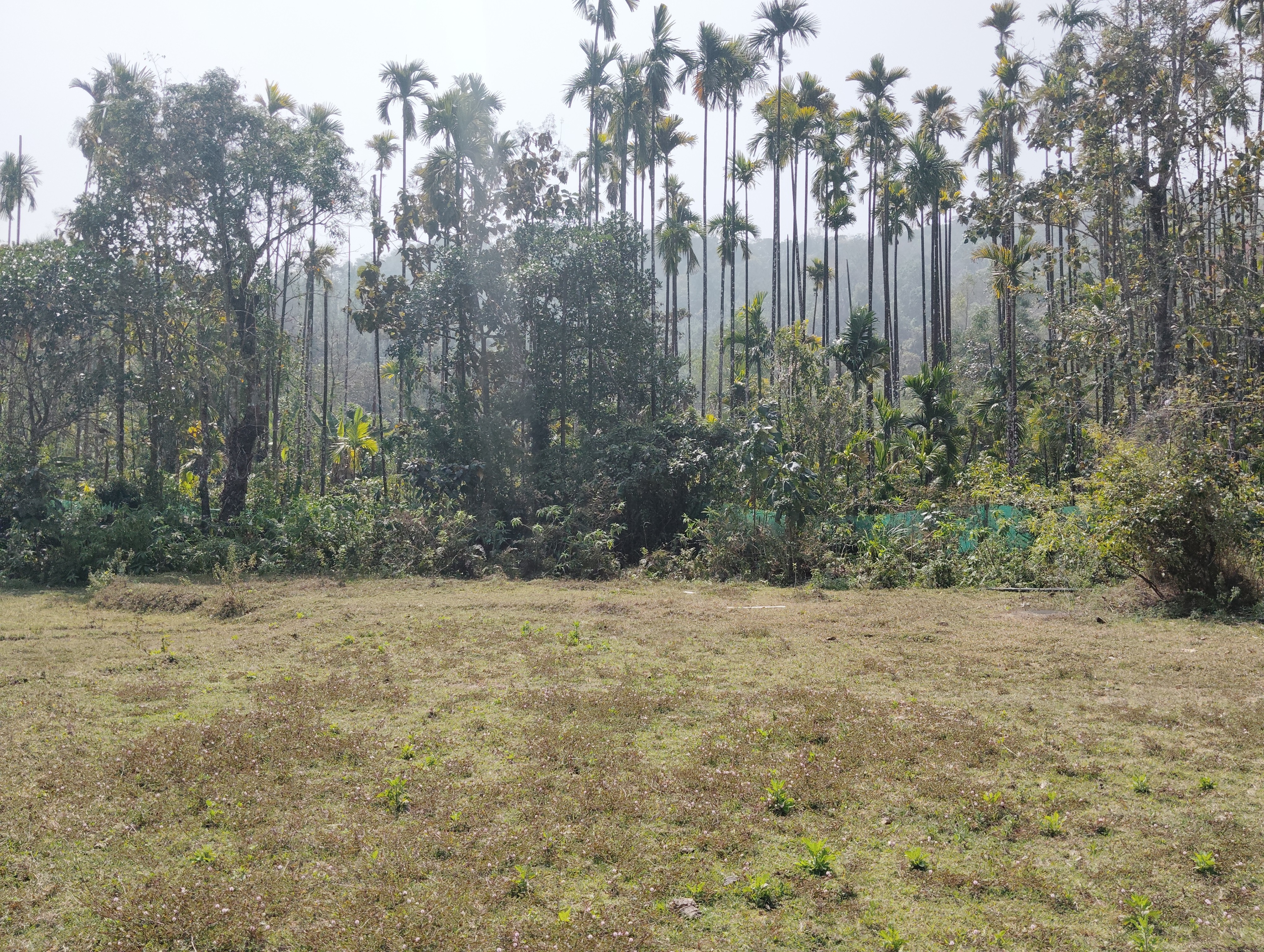 agriculture land and Homestay purpose 2
