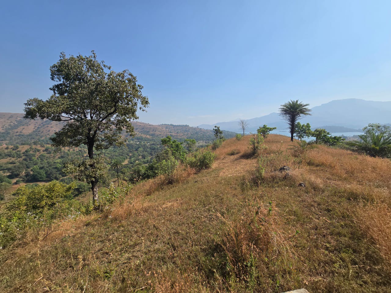 1 एकर डॅम व्हिव तोरणा राजगड किल्ला व्हिव