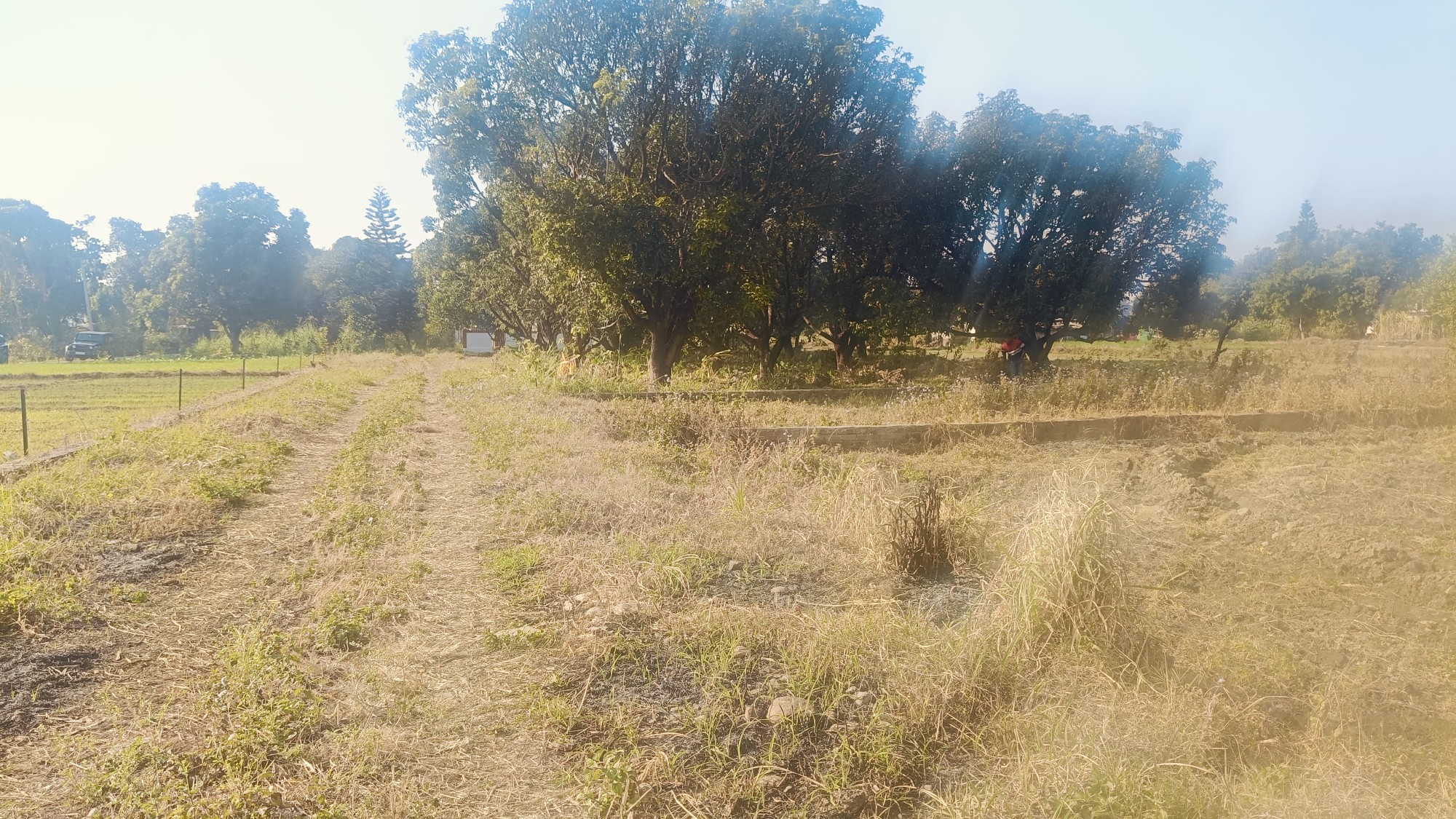 plot for sale kunwarpur gaulapar haldwani near Sanjay honda showroom 3