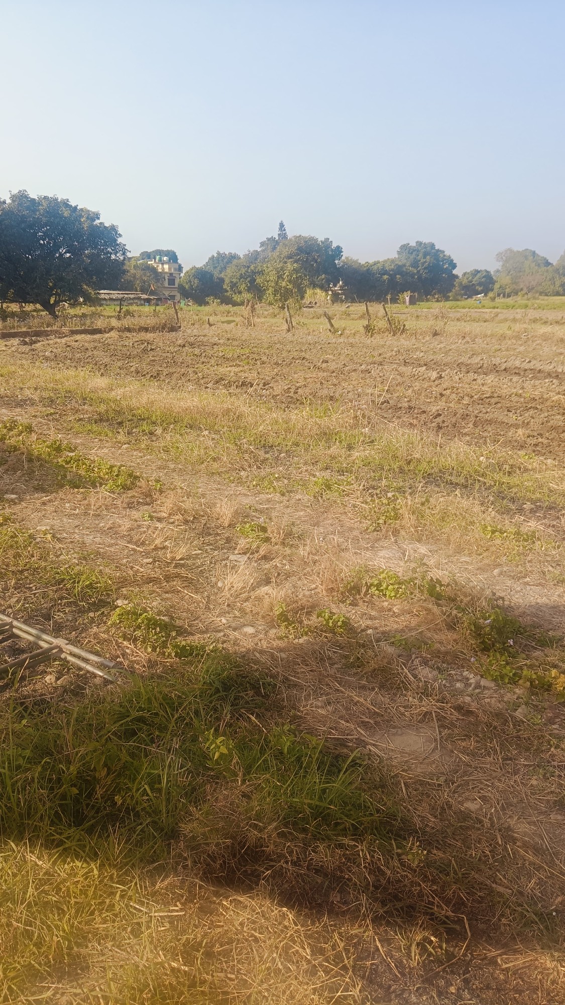 plot for sale kunwarpur gaulapar haldwani near Sanjay honda showroom 2