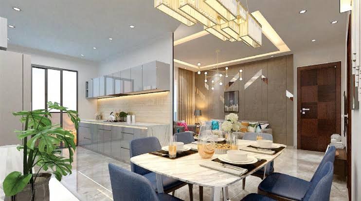 Tulip Yellow sector 69 on spr road 3