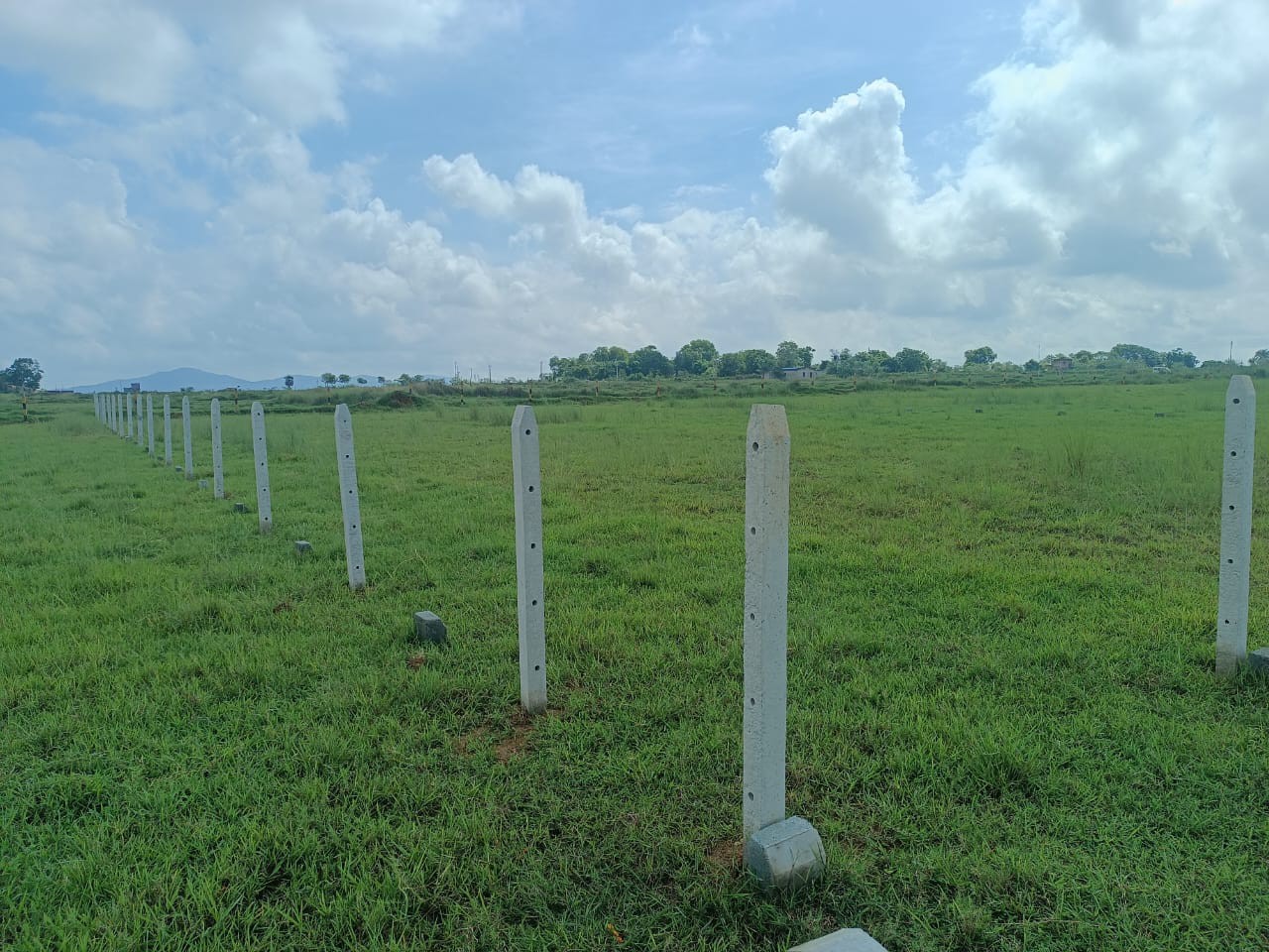 registered land for sale