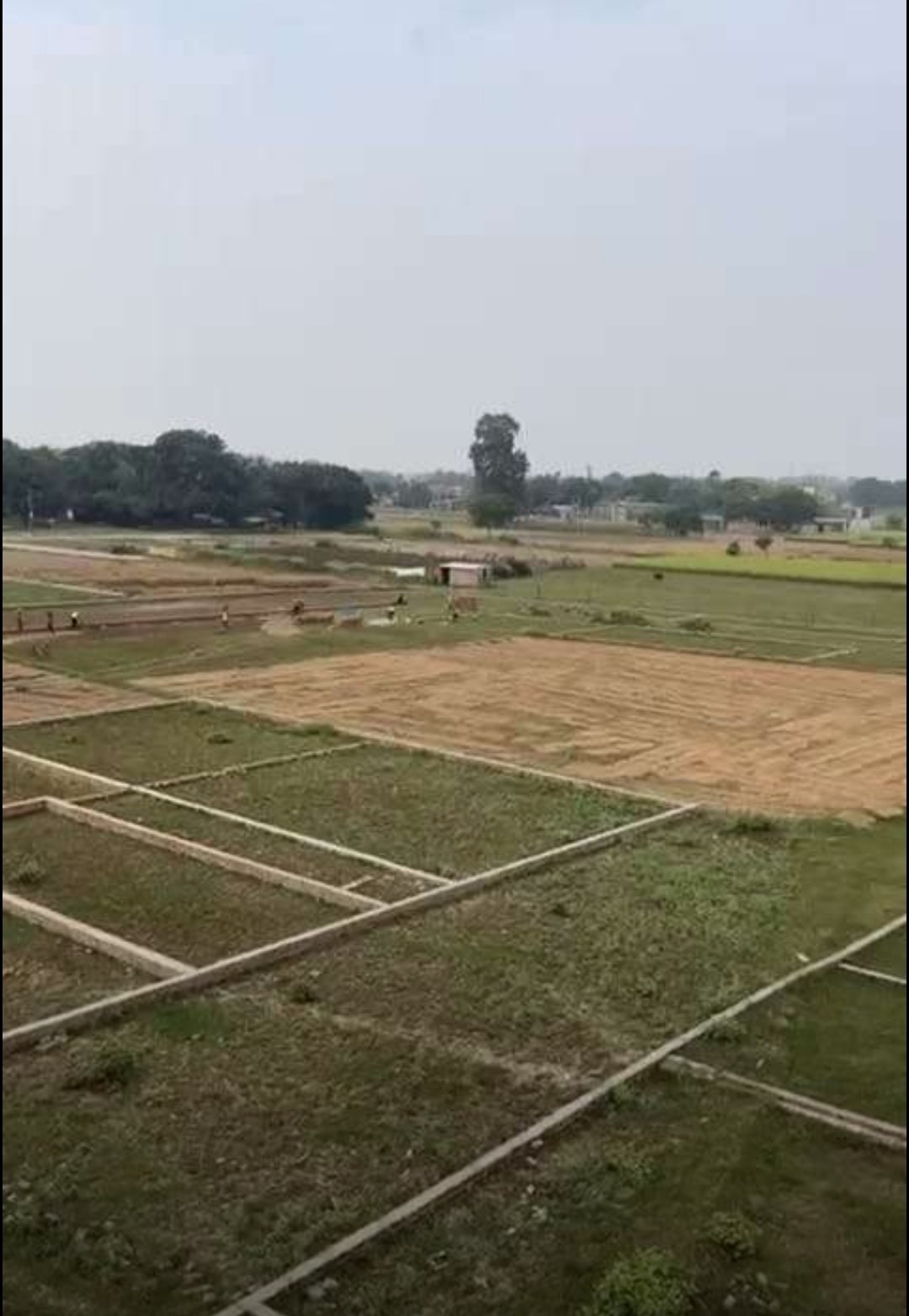 plot in rohania available 2