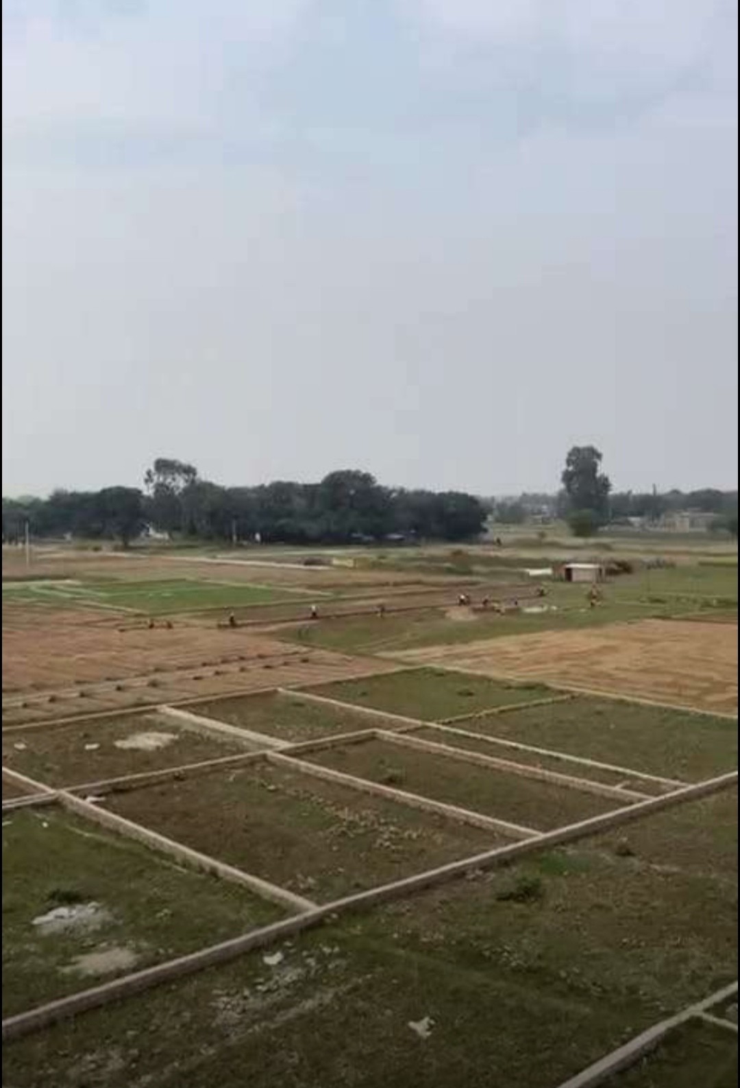 plot in rohania available