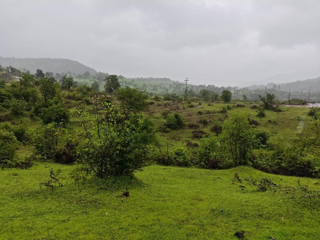 Agreecalture land Velhe Ghisar and Ghevande 3