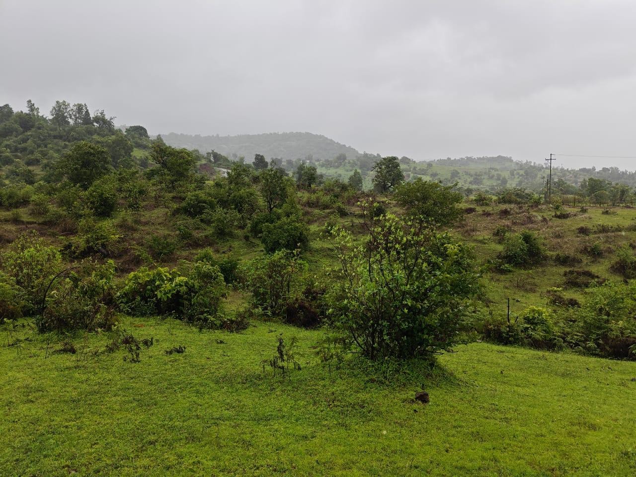 Agreecalture land Velhe Ghisar and Ghevande 2