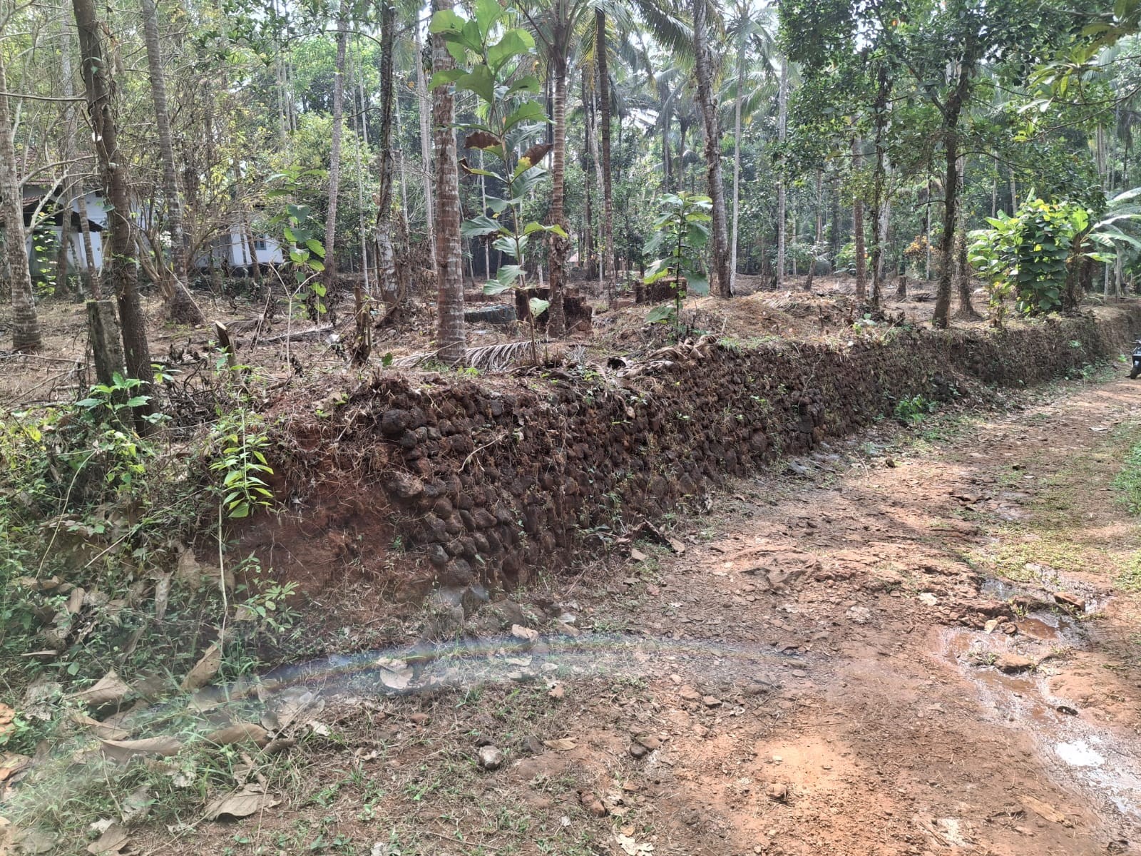 Manniledam land RK 2