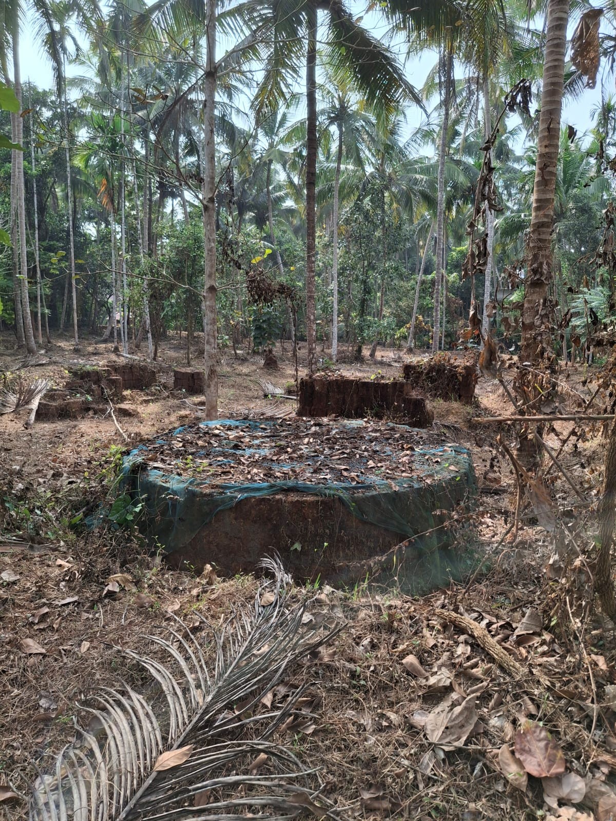 Manniledam land RK 3