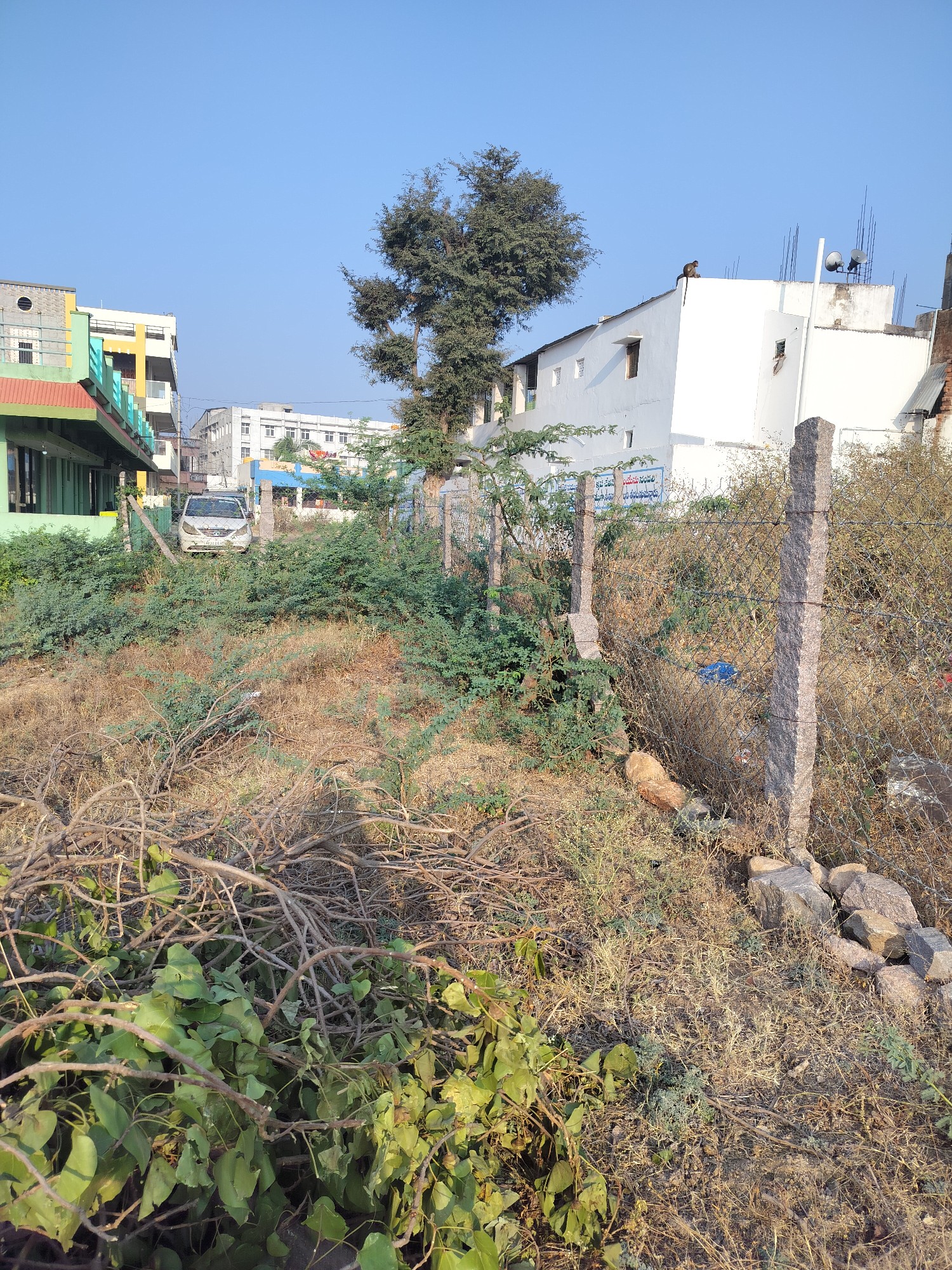 6 cents length 70 width 40 3