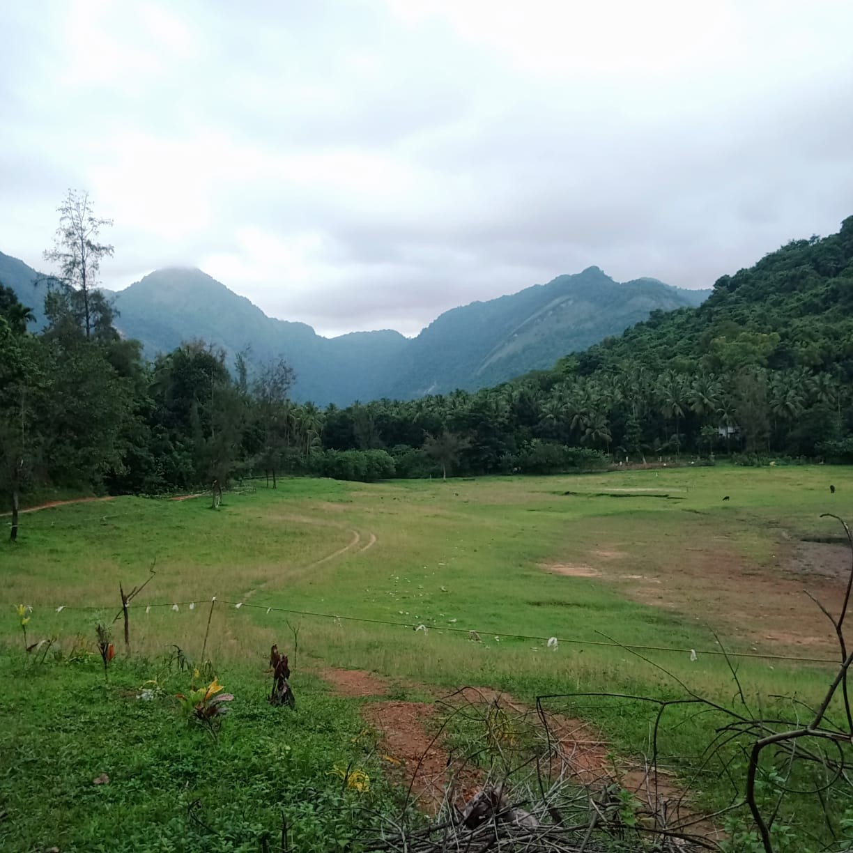 Plot For Sale Near kakkayam (Tourism river side) 2