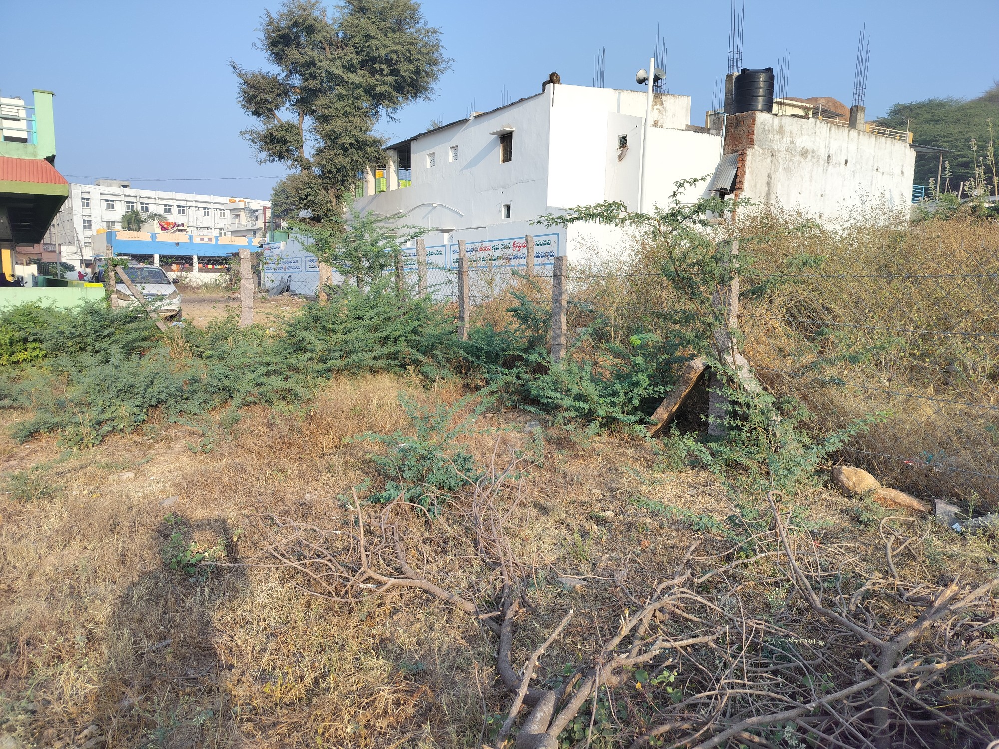 6 cents length 70 width 40 2