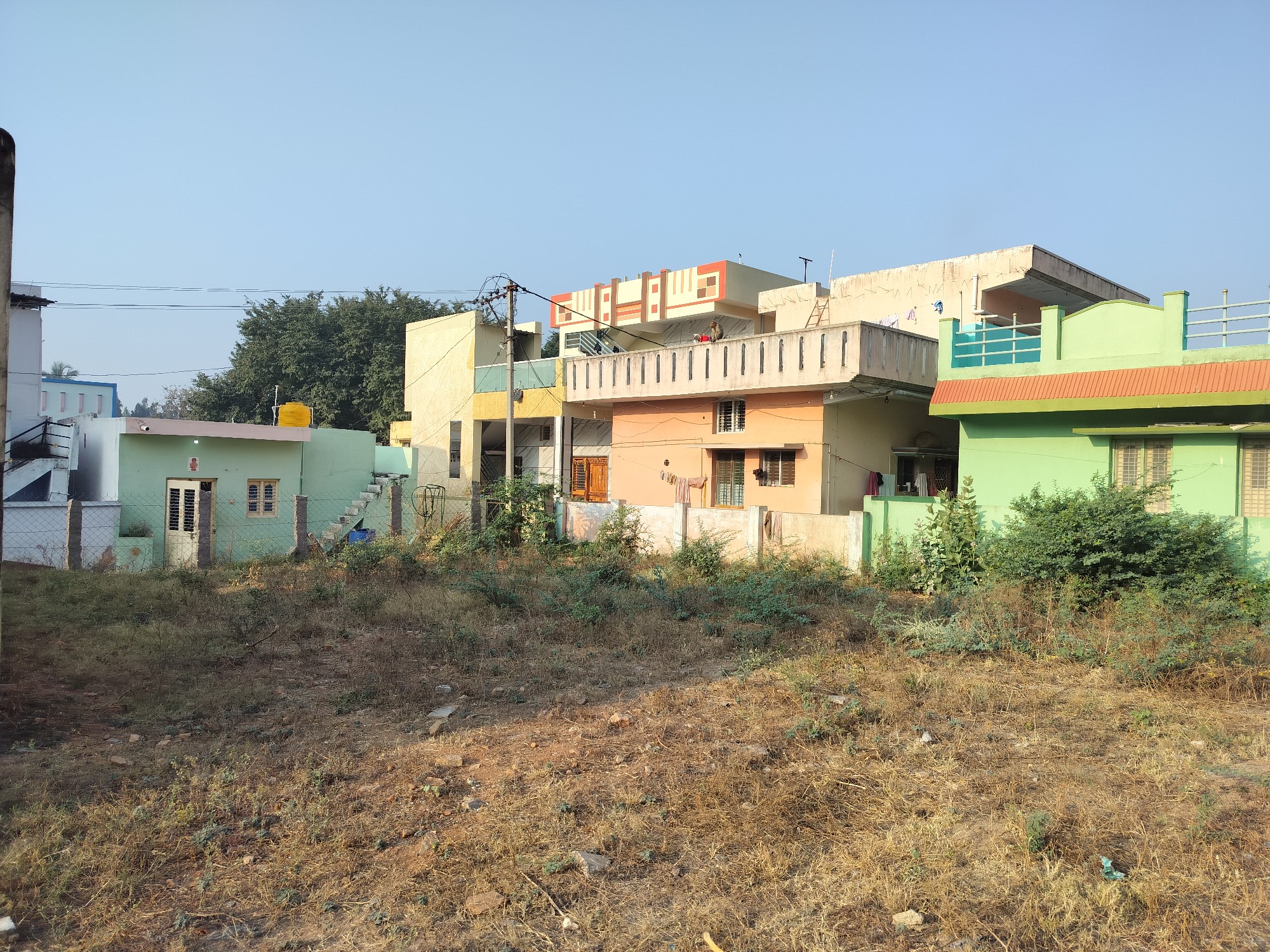 6 cents length 70 width 40