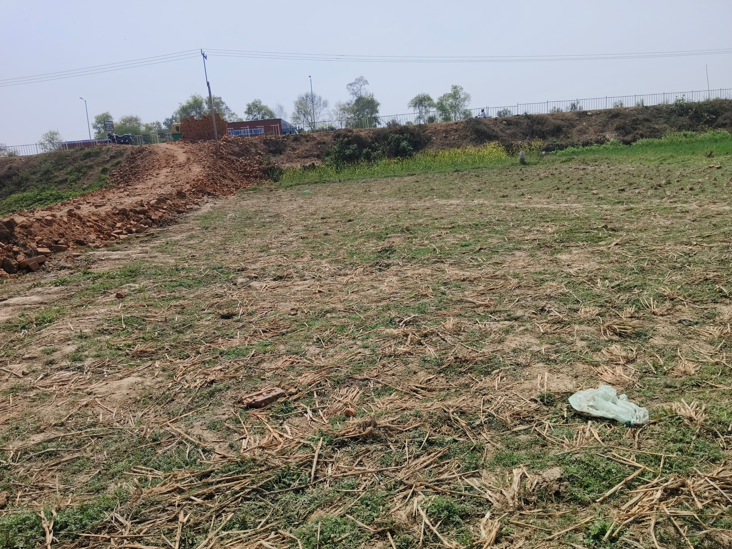 scaled_IMG-20260228-WA0015