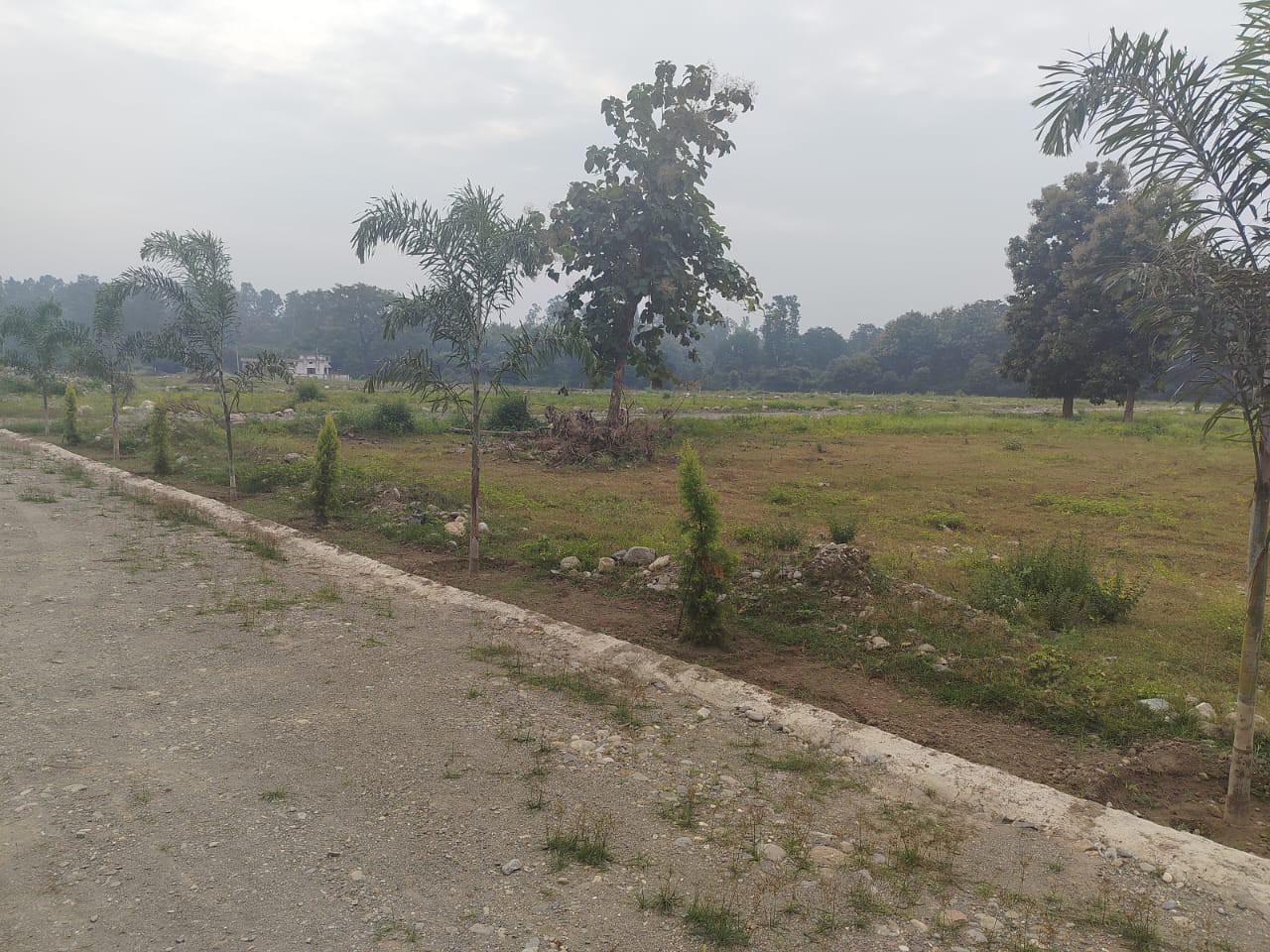 scaled_IMG-20260105-WA0009