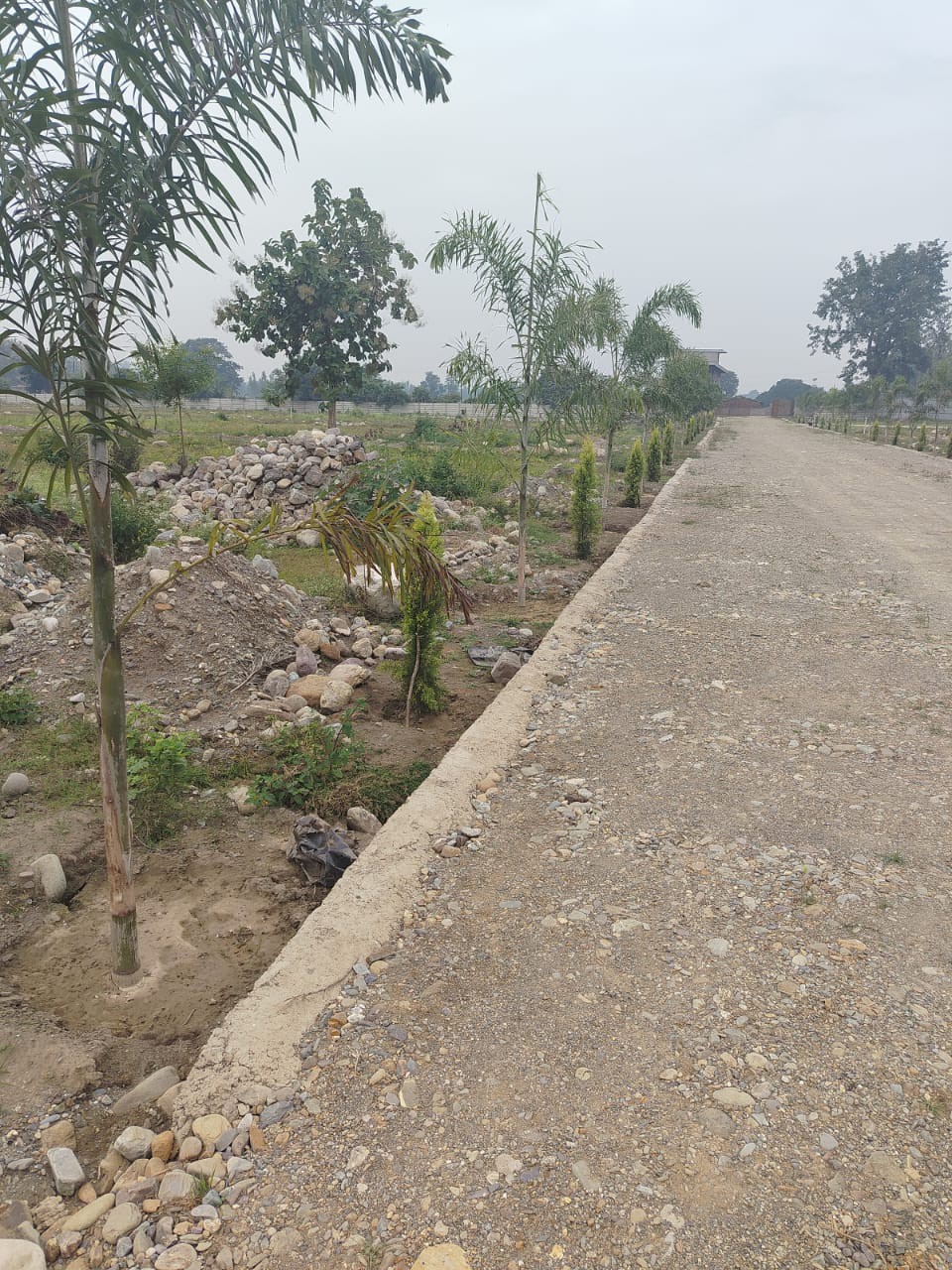 scaled_IMG-20260105-WA0011