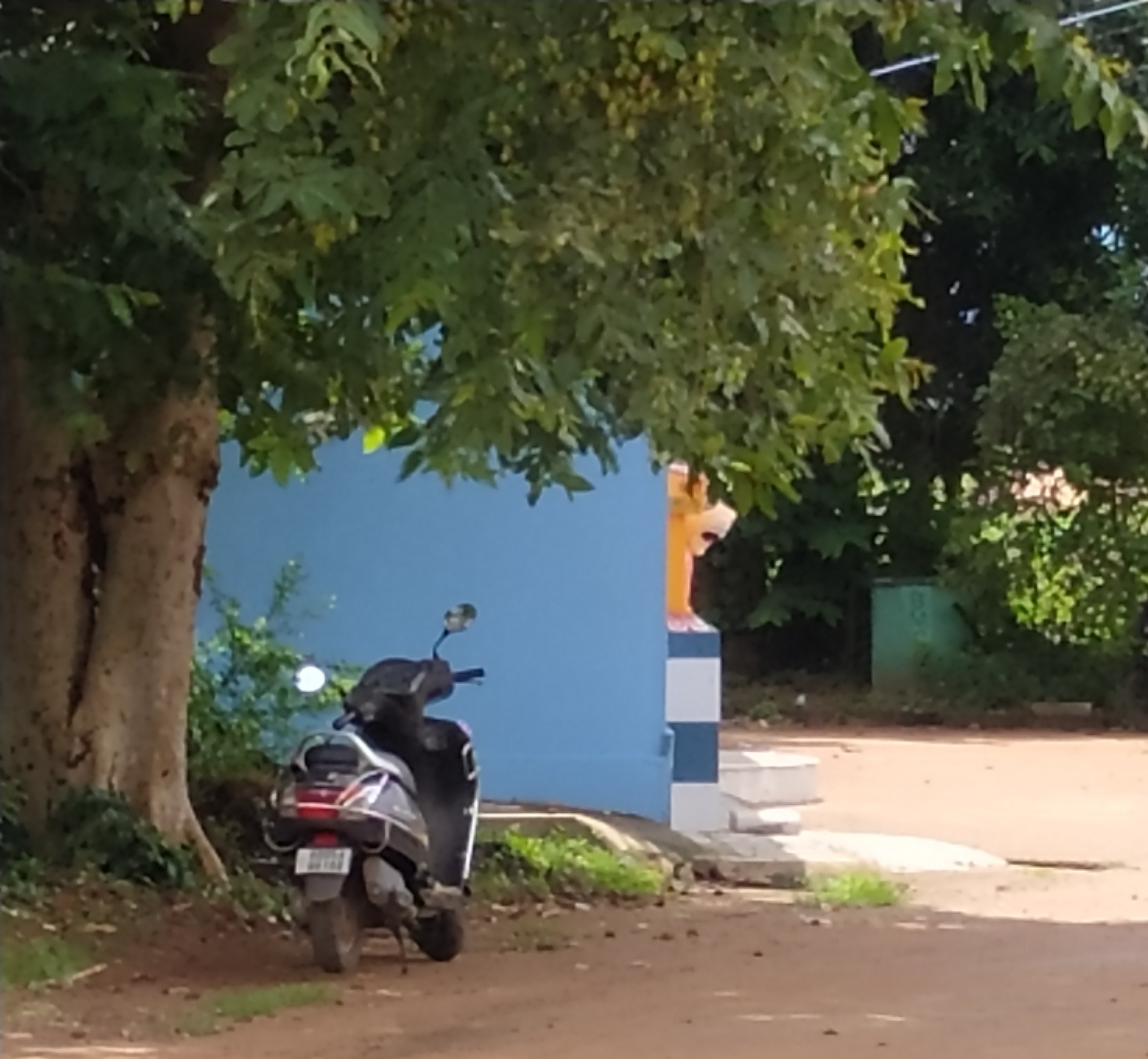 scaled_IMG_20240708_110133