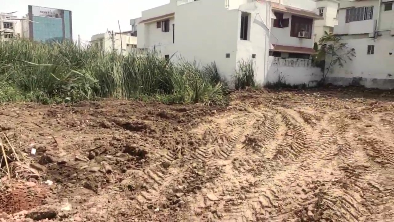 scaled_IMG_20260314_19560871